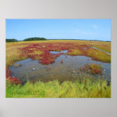 Hammonasset-Poster Poster (Voorkant)