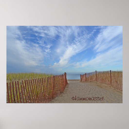 Hammonasset-Poster Poster (Voorkant)