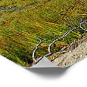 Hammonasset-Poster Poster (Hoek)