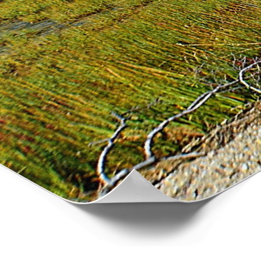 Hammonasset-Poster Poster (Hoek)