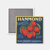 Hammond Klondykes Strawberries Magneet (Voorkant / Achterkant)