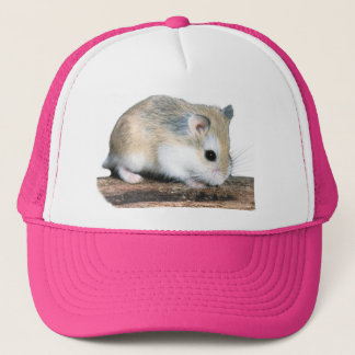 Hammy de hamster trucker pet