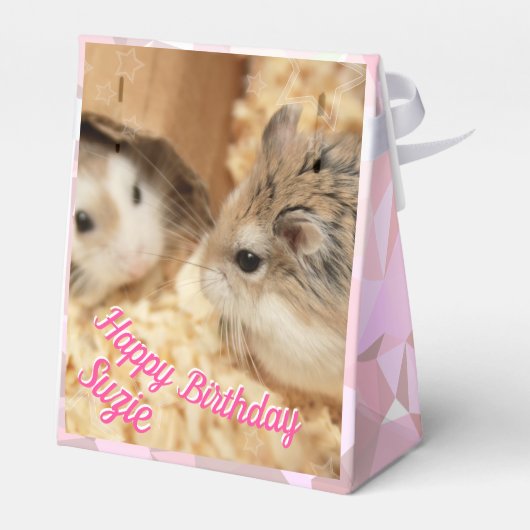 Hammyville - Cute Hamster Bedankdoosjes (Achterkant)