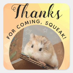 HammyVille - Cute Hamster-Bedankt voor komplein Vierkante Sticker