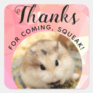 HammyVille - Cute Hamster-Bedankt voor komplein Vierkante Sticker