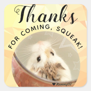 HammyVille - Cute Hamster-Bedankt voor komplein Vierkante Sticker