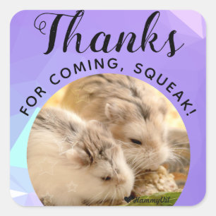 HammyVille - Cute Hamster-Bedankt voor komplein Vierkante Sticker