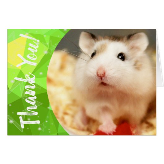 Hammyville - Cute Hamster Dank je (Voorkant Horizontaal)