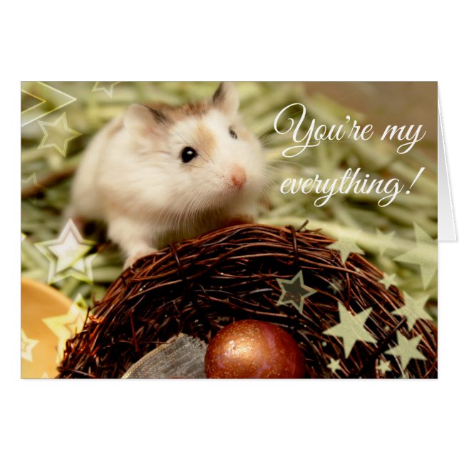 Hammyville - Cute Hamster en Nest (Voorkant Horizontaal)