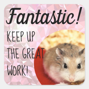 HammyVille - Cute Hamster Fantastic Great Work Vierkante Sticker