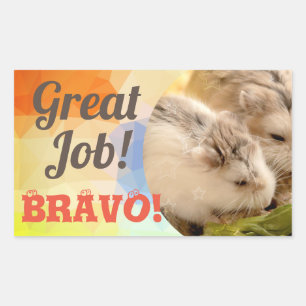 HammyVille - Cute Hamster Great Job Bravo Rechthoekige Sticker