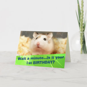 Hammyville - Cute Hamster Happy Birthday Card Kaart