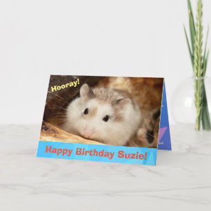 Hammyville - Cute Hamster Happy Birthday Card Kaart