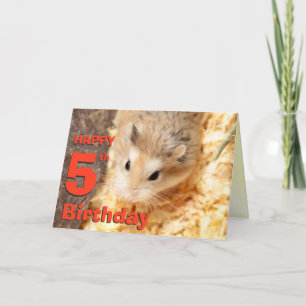 Hammyville - Cute Hamster Happy Birthday Card Kaart
