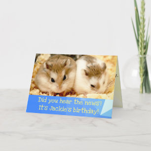Hammyville - Cute Hamster Happy Birthday Card Kaart