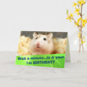 Hammyville - Cute Hamster Happy Birthday Kaart (Gele Bloem)