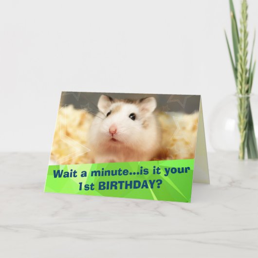 Hammyville - Cute Hamster Happy Birthday Kaart (Voorkant)