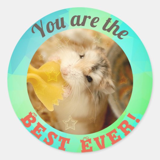 HammyVille - Cute Hamster Je bent zo Geweldige Ronde Sticker (Voorkant)