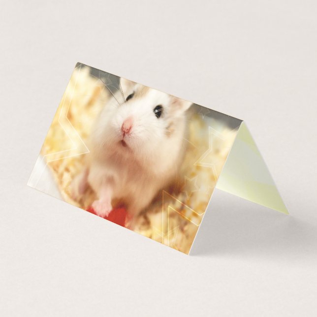 Hammyville - Cute Hamster Kaart (Voorkant)