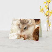 Hammyville - Cute Hamster Kaart (Gele Bloem)
