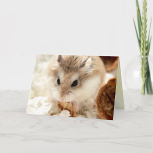 Hammyville - Cute Hamster Kaart