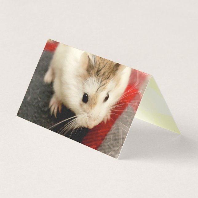 Hammyville - Cute Hamster Kaart (Voorkant)