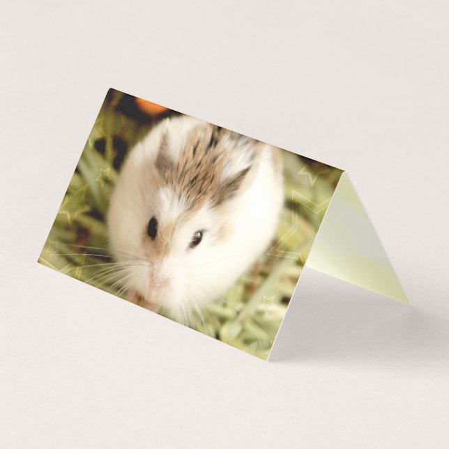 Hammyville - Cute Hamster Kaart (Voorkant)