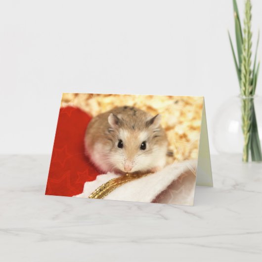 Hammyville - Cute Hamster Kaart (Voorkant)