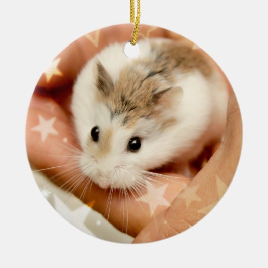 Hammyville - Cute Hamster Keramisch Ornament (Voorkant)