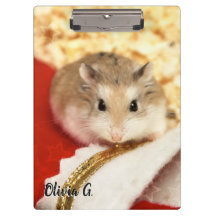 Hammyville - Cute Hamster
