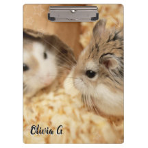 Hammyville - Cute Hamster