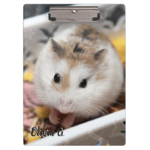 Hammyville - Cute Hamster