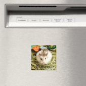 Hammyville - Cute Hamster Magneet (Insitu (Vaatwasser))