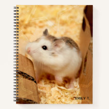 Hammyville - Cute Hamster