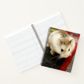 Hammyville - Cute Hamster Notitieboek (Binnen)