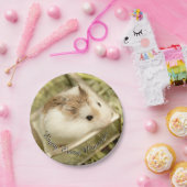 Hammyville - Cute Hamster Papieren Bordje (Feest)