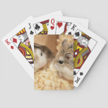 Hammyville - Cute Hamster