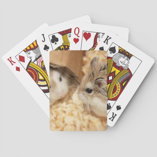 Hammyville - Cute Hamster Pokerkaarten (Achterkant)