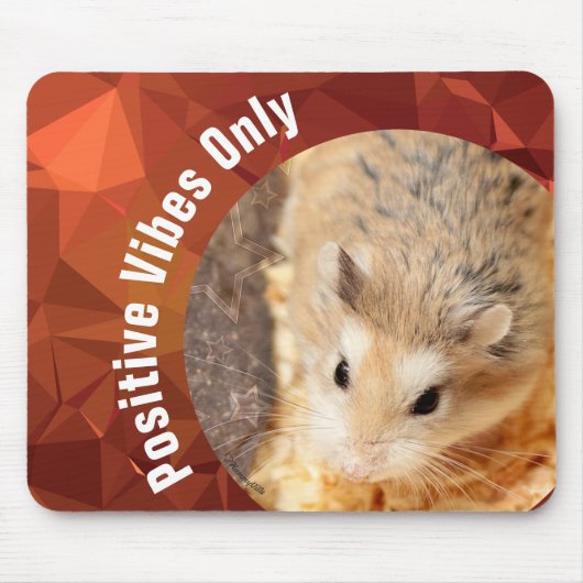 HammyVille - Cute Hamster Positive Vibes Only Muismat (Voorkant)
