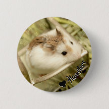 Hammyville - Cute Hamster