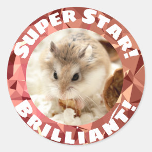 Hammyville - Cute Hamster Sparkly Enmoegement Ronde Sticker