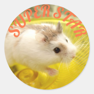 Hammyville - Cute Hamster Super Star Ronde Sticker
