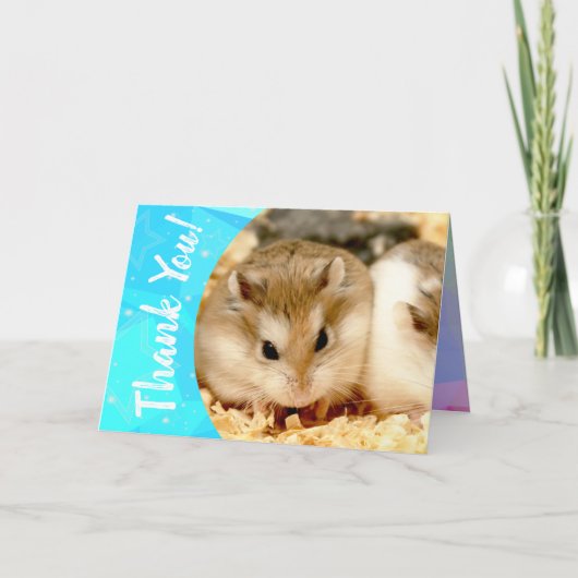 Hammyville - Cute Hamster Thank You Bedankkaart (Voorkant)