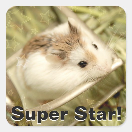 Hammyville - Cute Hamster Vierkante Sticker (Voorkant)