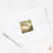 Hammyville - Cute Hamster Vierkante Sticker (Envelop)