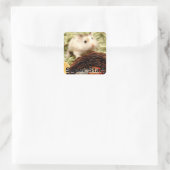 Hammyville - Cute Hamster Vierkante Sticker (Tas)