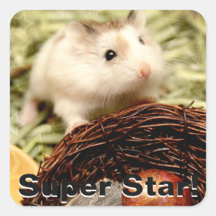 Hammyville - Cute Hamster Vierkante Sticker