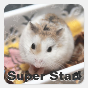 Hammyville - Cute Hamster Vierkante Sticker