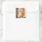 Hammyville - Cute Hamster Vierkante Sticker (Tas)