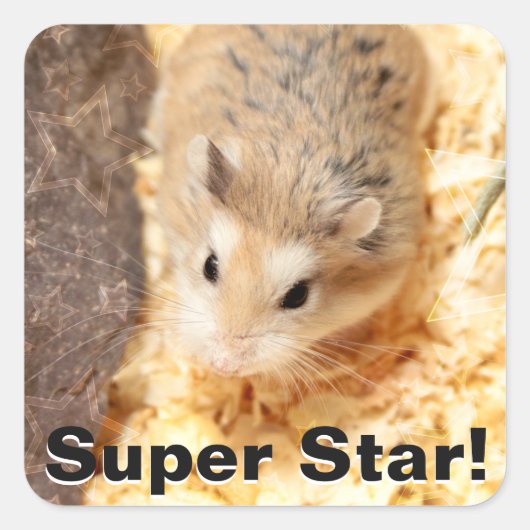 Hammyville - Cute Hamster Vierkante Sticker (Voorkant)